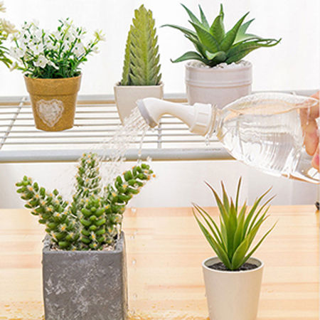 Immagine per la categoria Garden Supplies